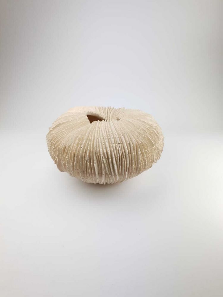 Без названия