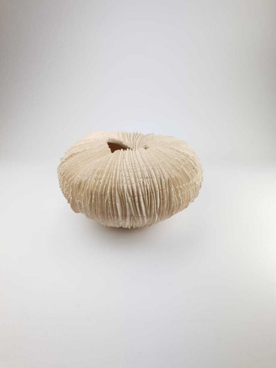 Без названия