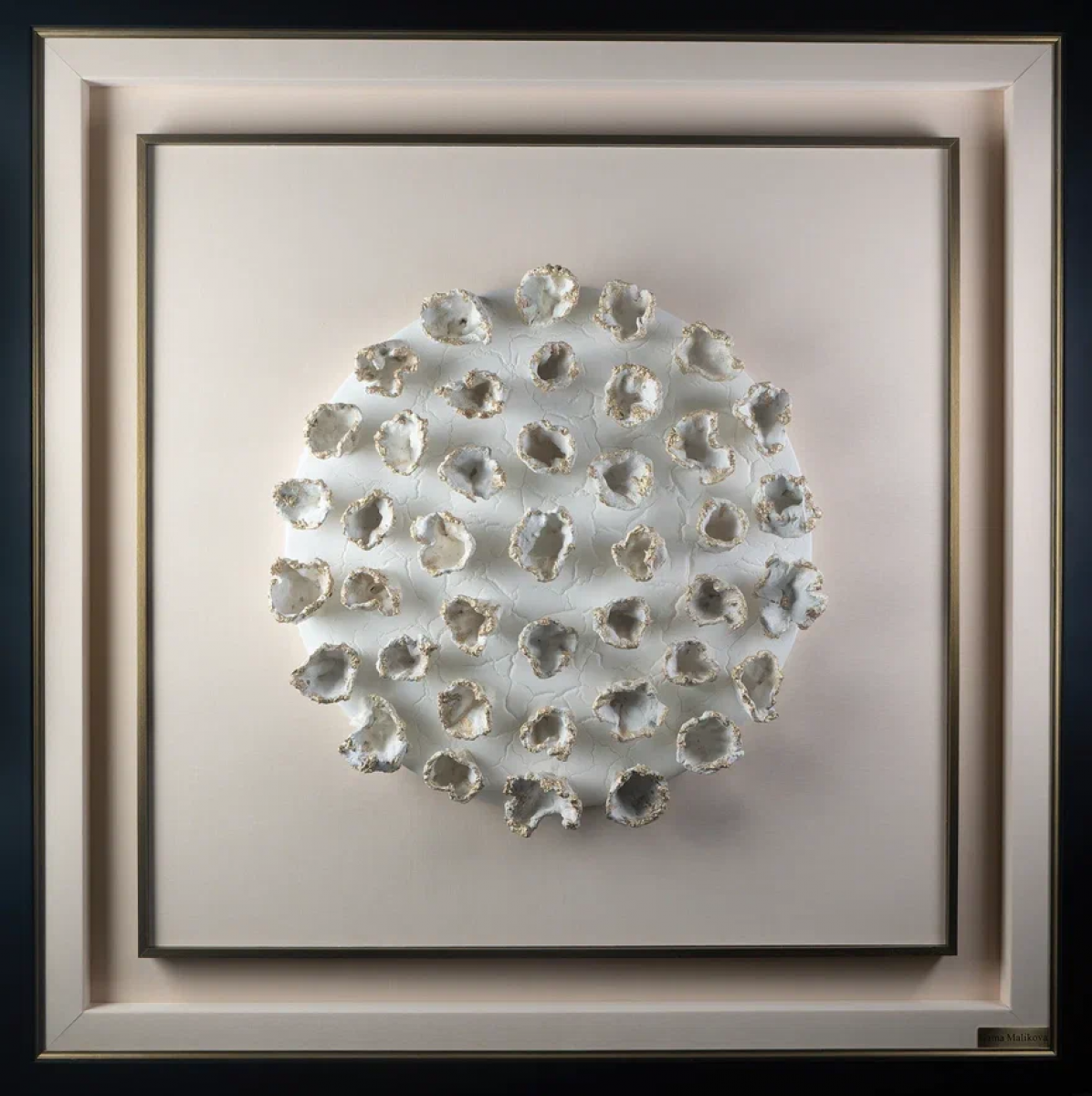 White Blooming Desert